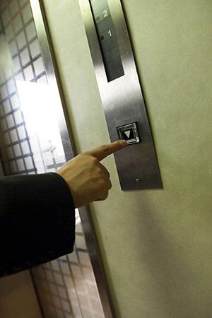 黒柿といった木材を取り扱っている