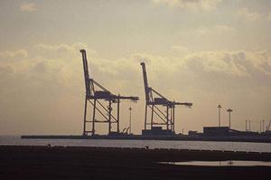 エプトシーラーの選び方と活用法！高耐久性シーリング材で防音・防振対策を強化する方法